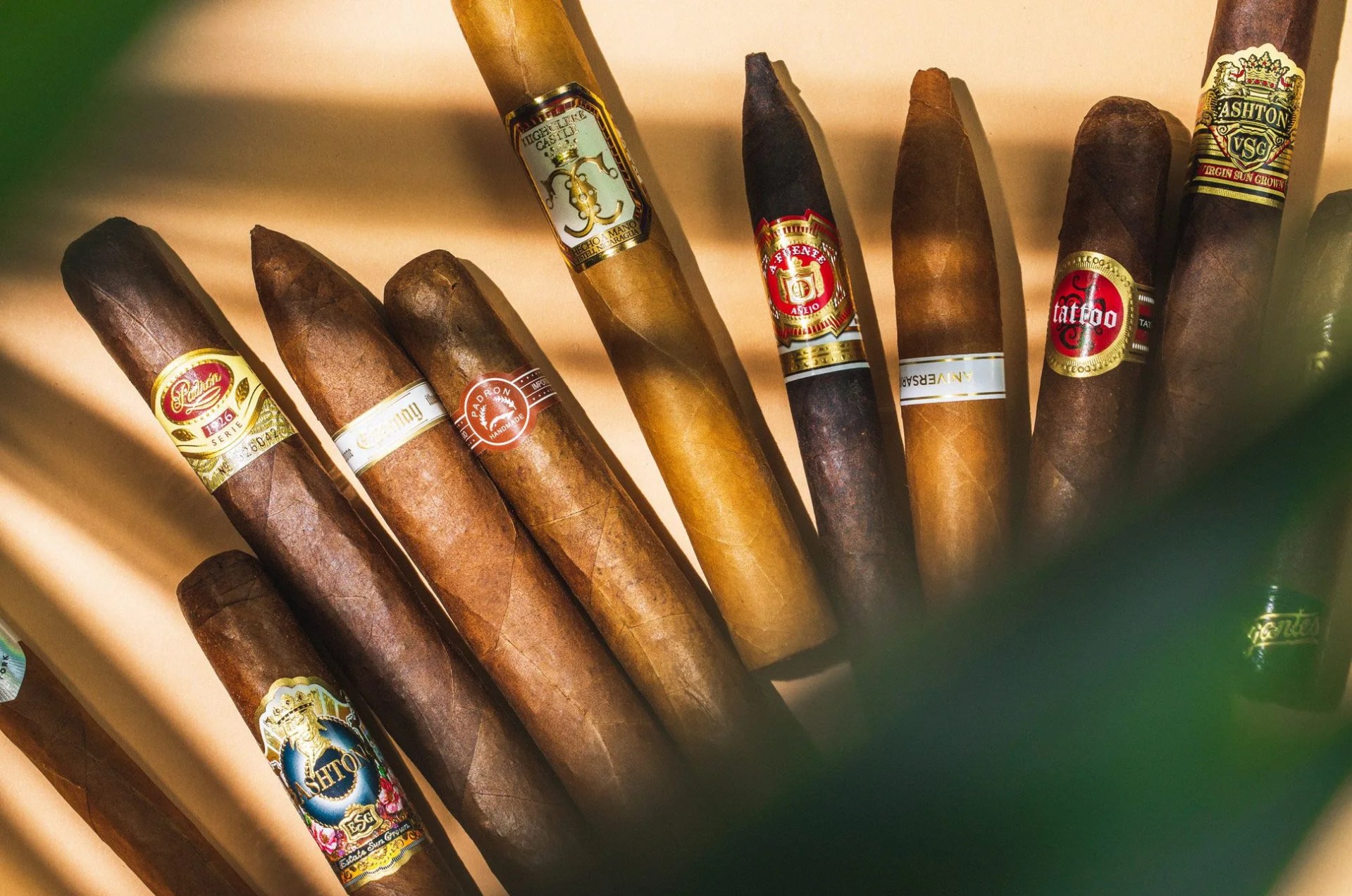 best cigars gear patrol lead full