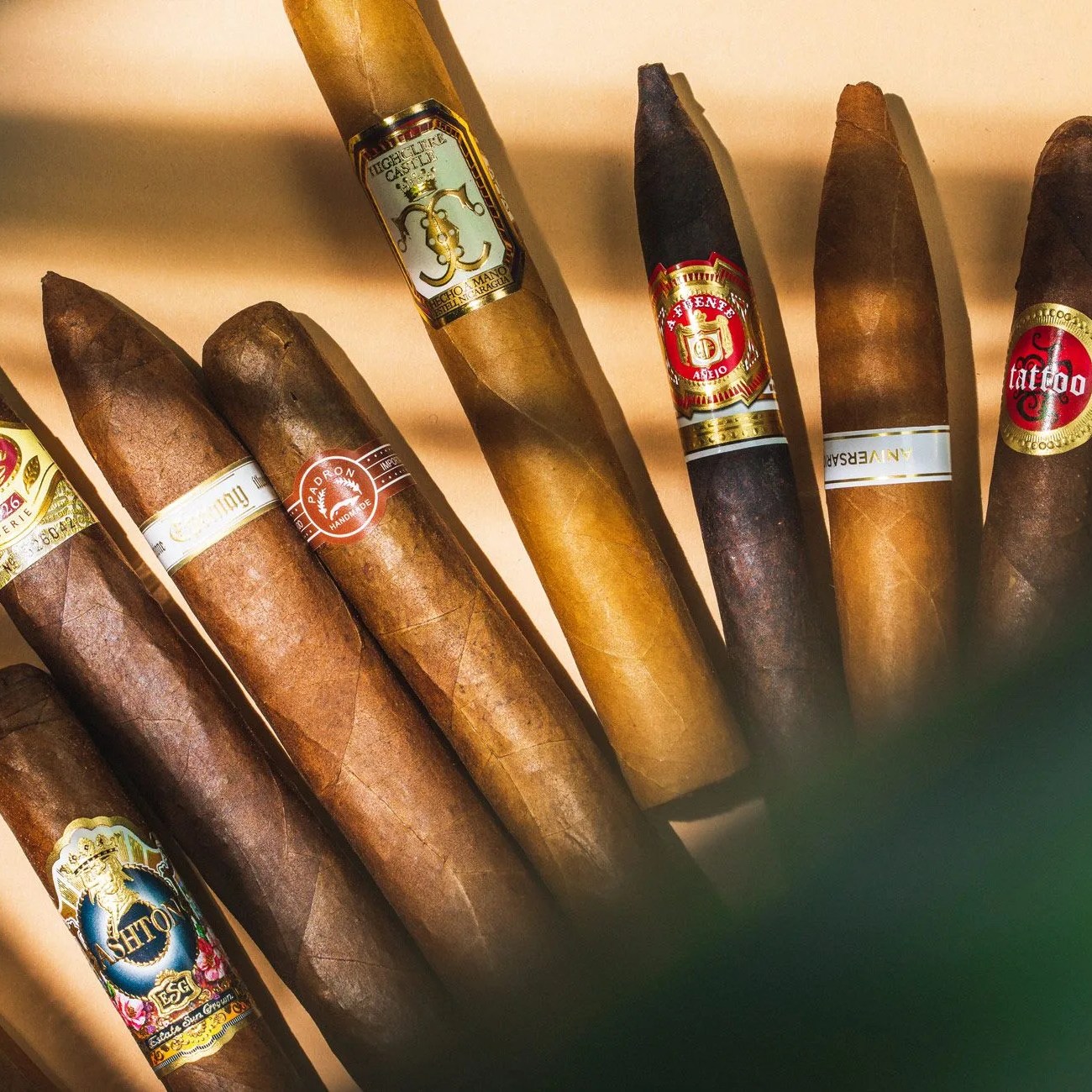 best cigars gear patrol lead full