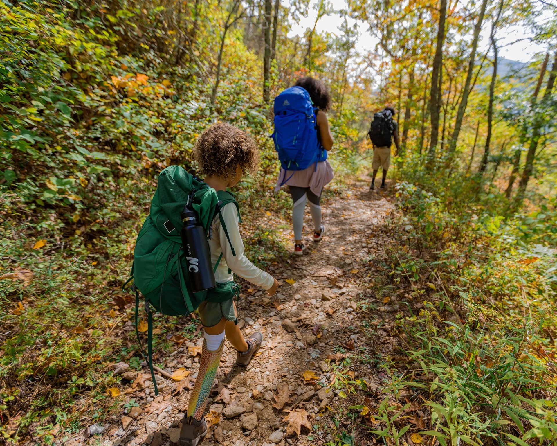 three hikers walking through the forest