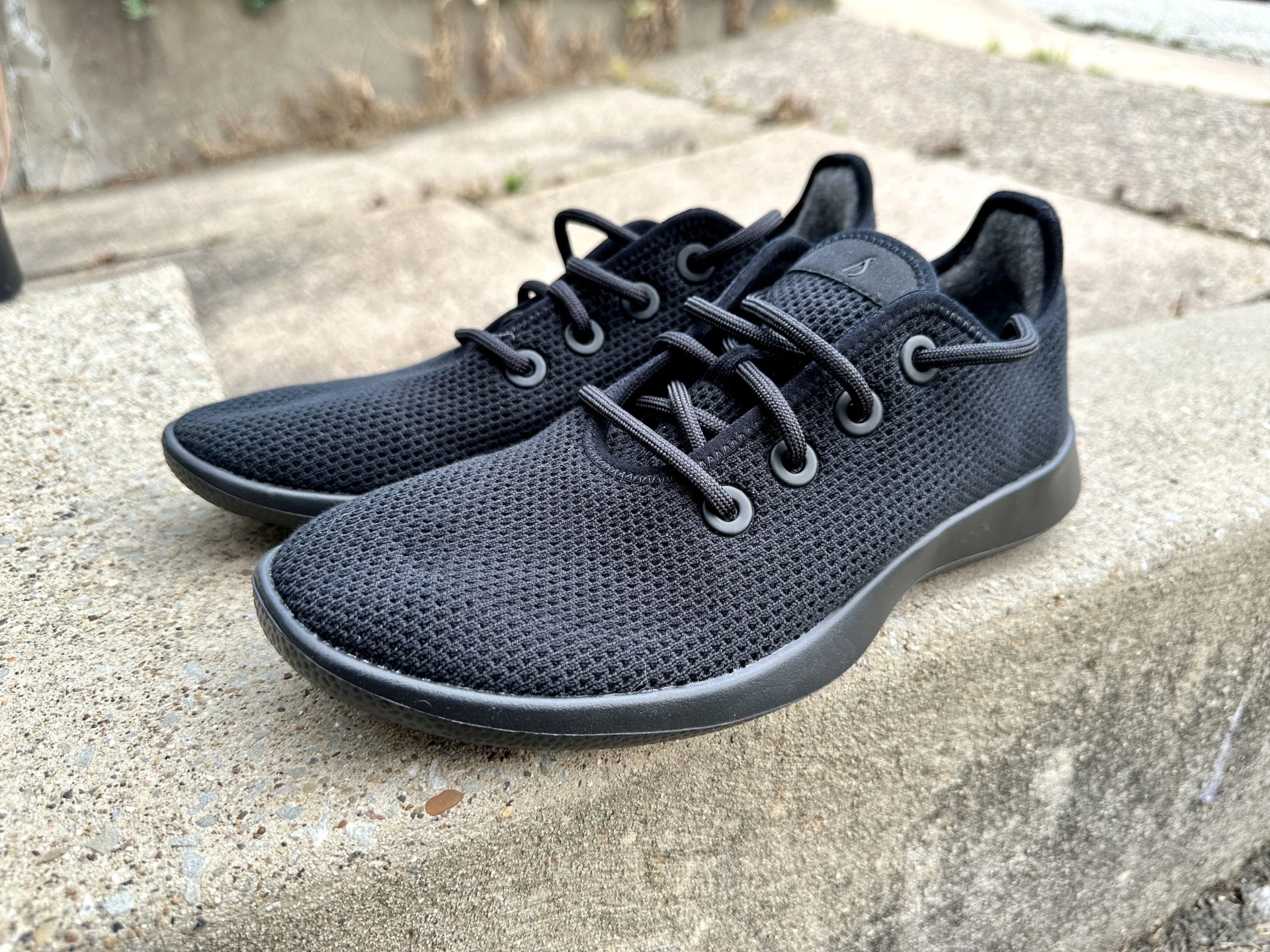 allbirds tree runners