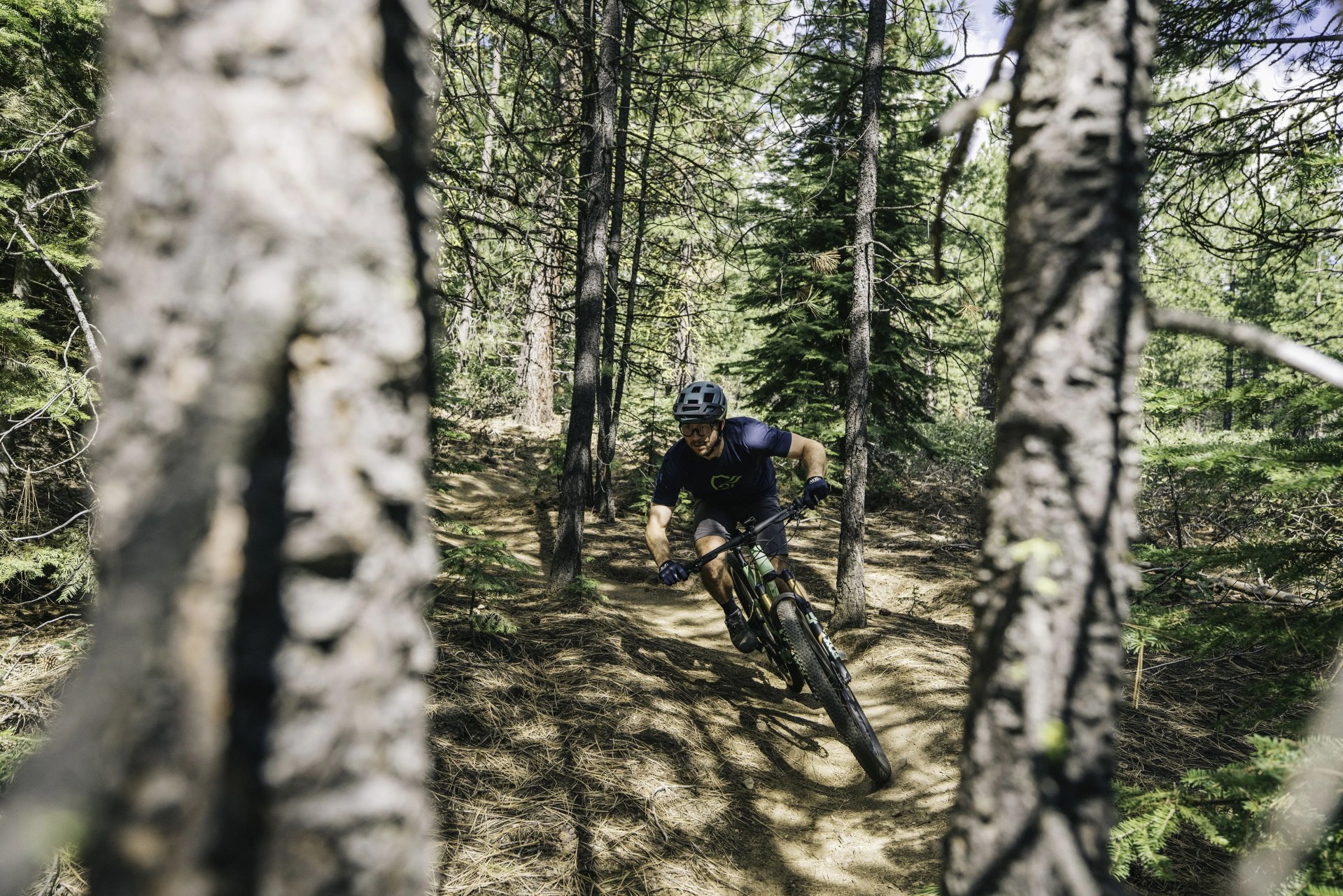 pivot mach 4 sl