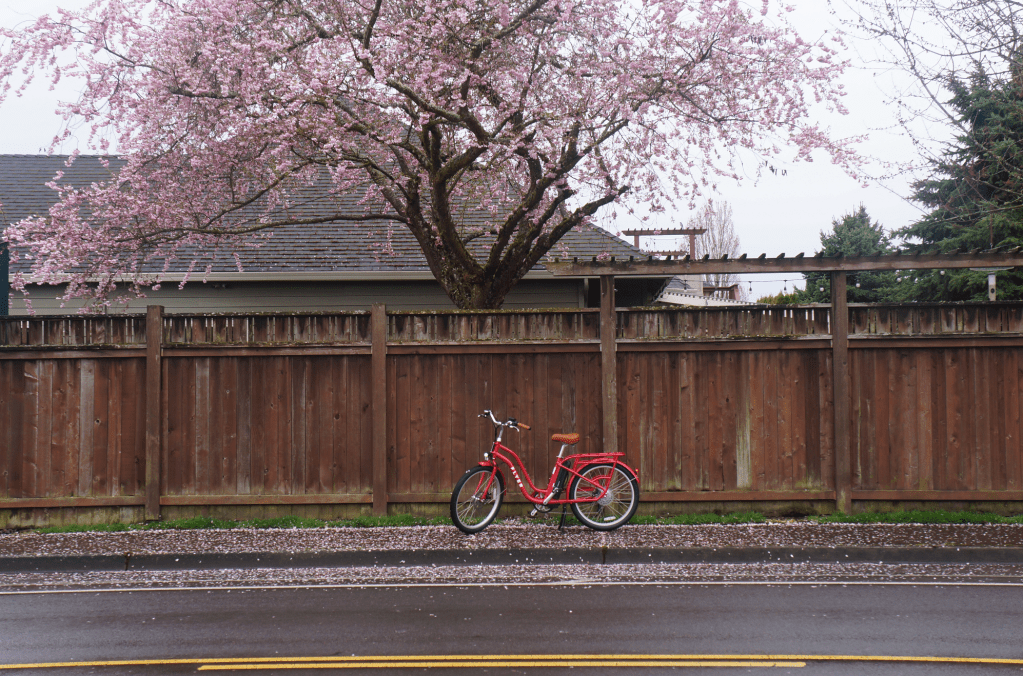 radio flyer electric bike
