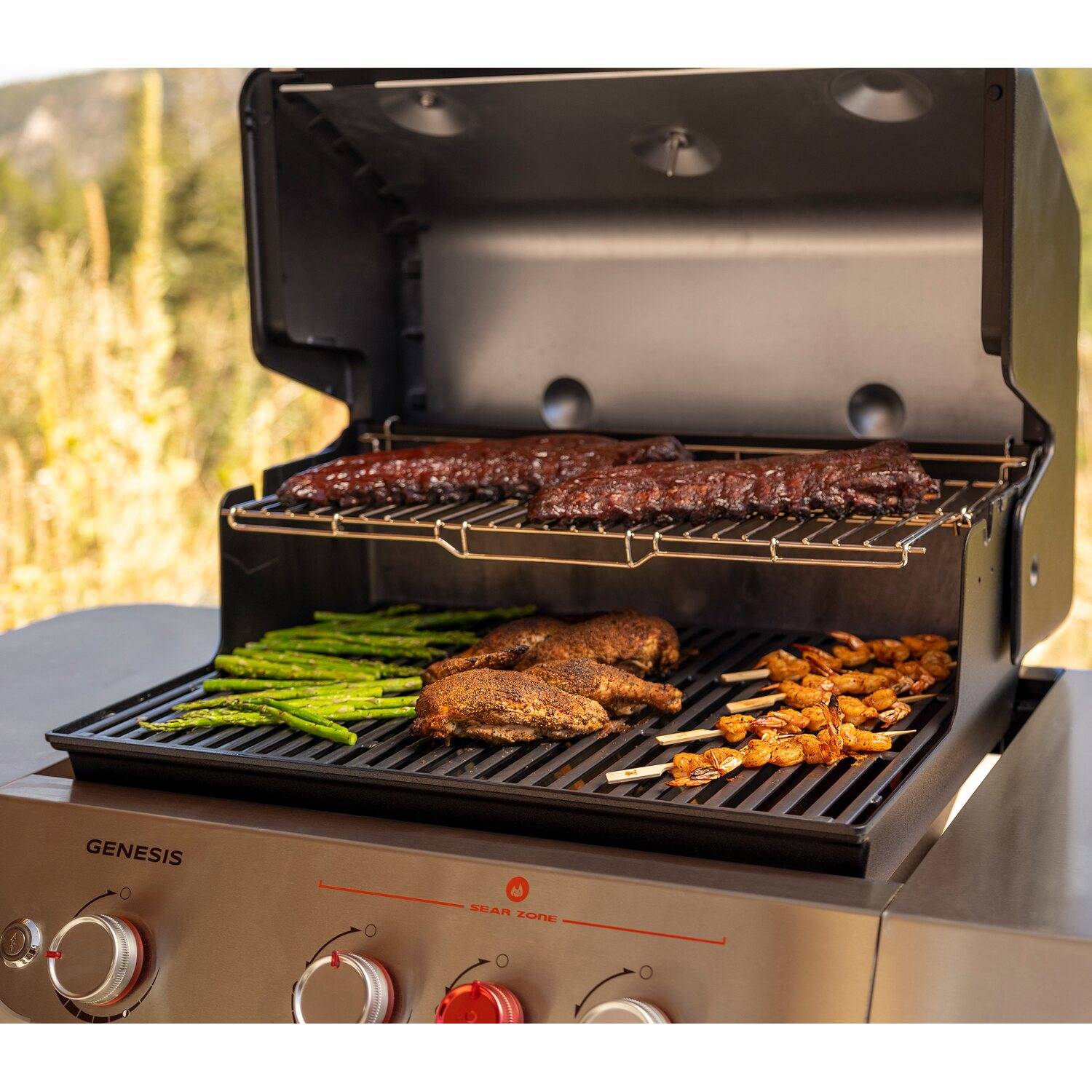 weber grill