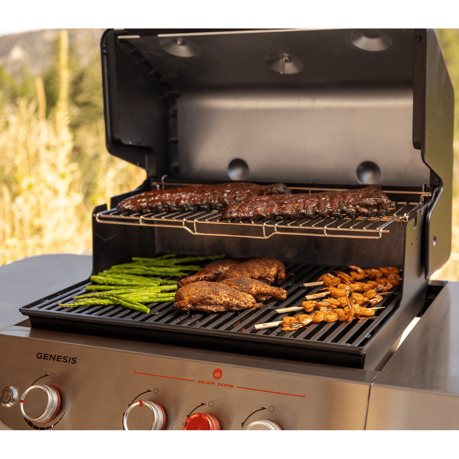 weber grill
