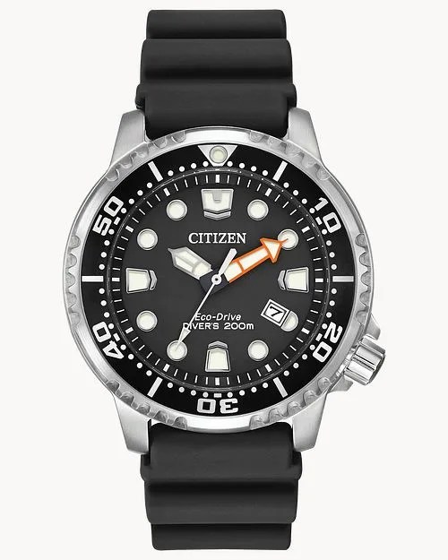 promaster dive