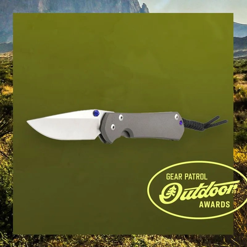 Chris Reeve Sebenza 31 Plain Drop Point