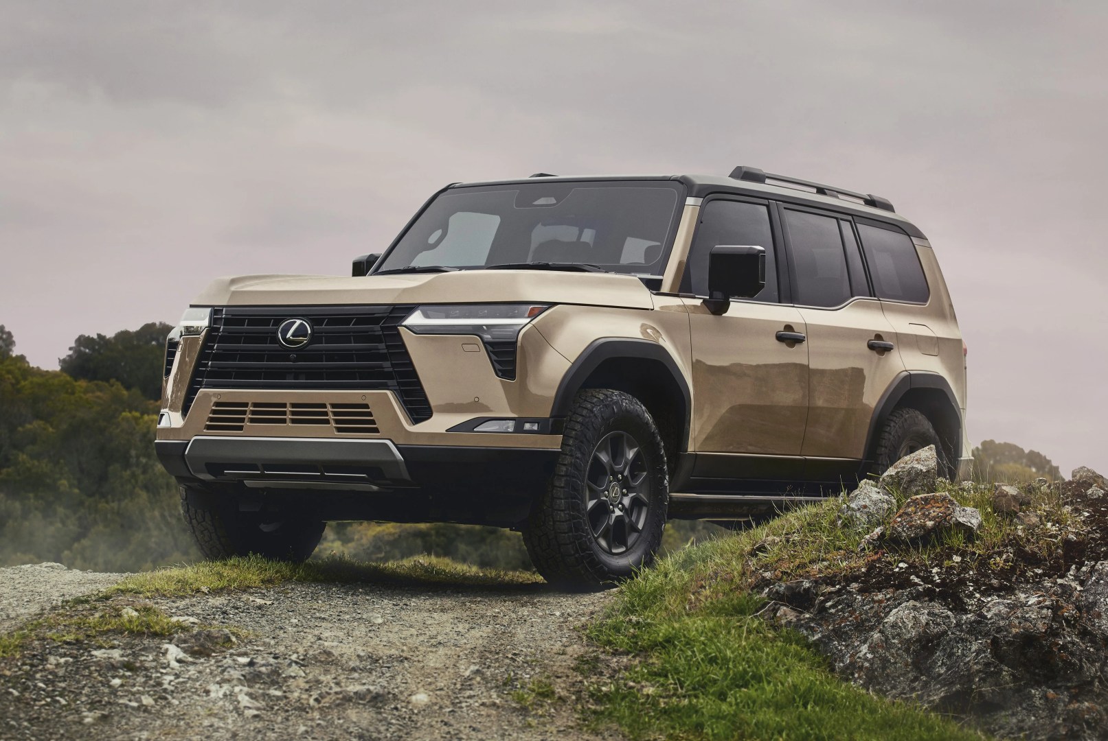 lexus gx on rocky terrain