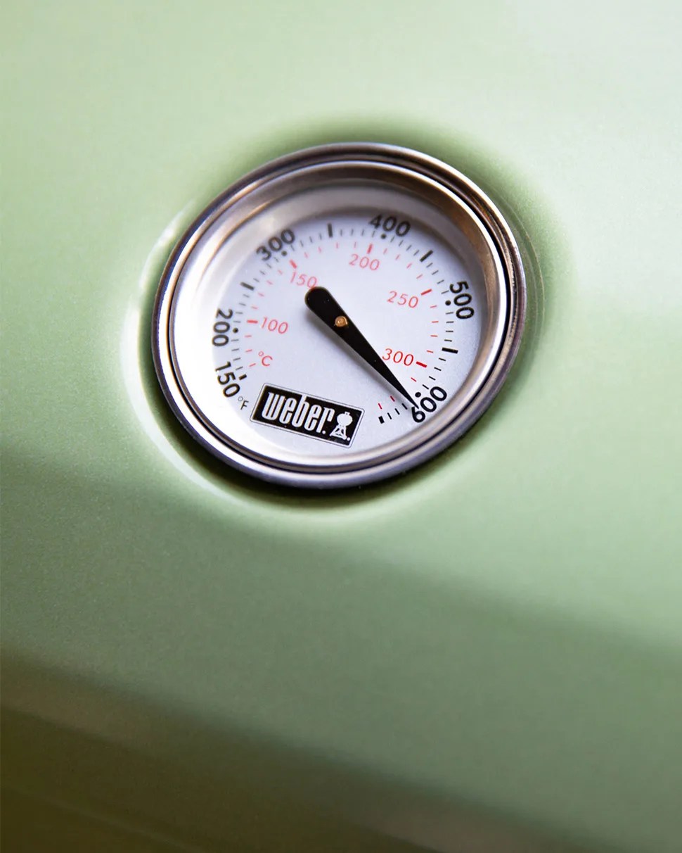weber grill dial