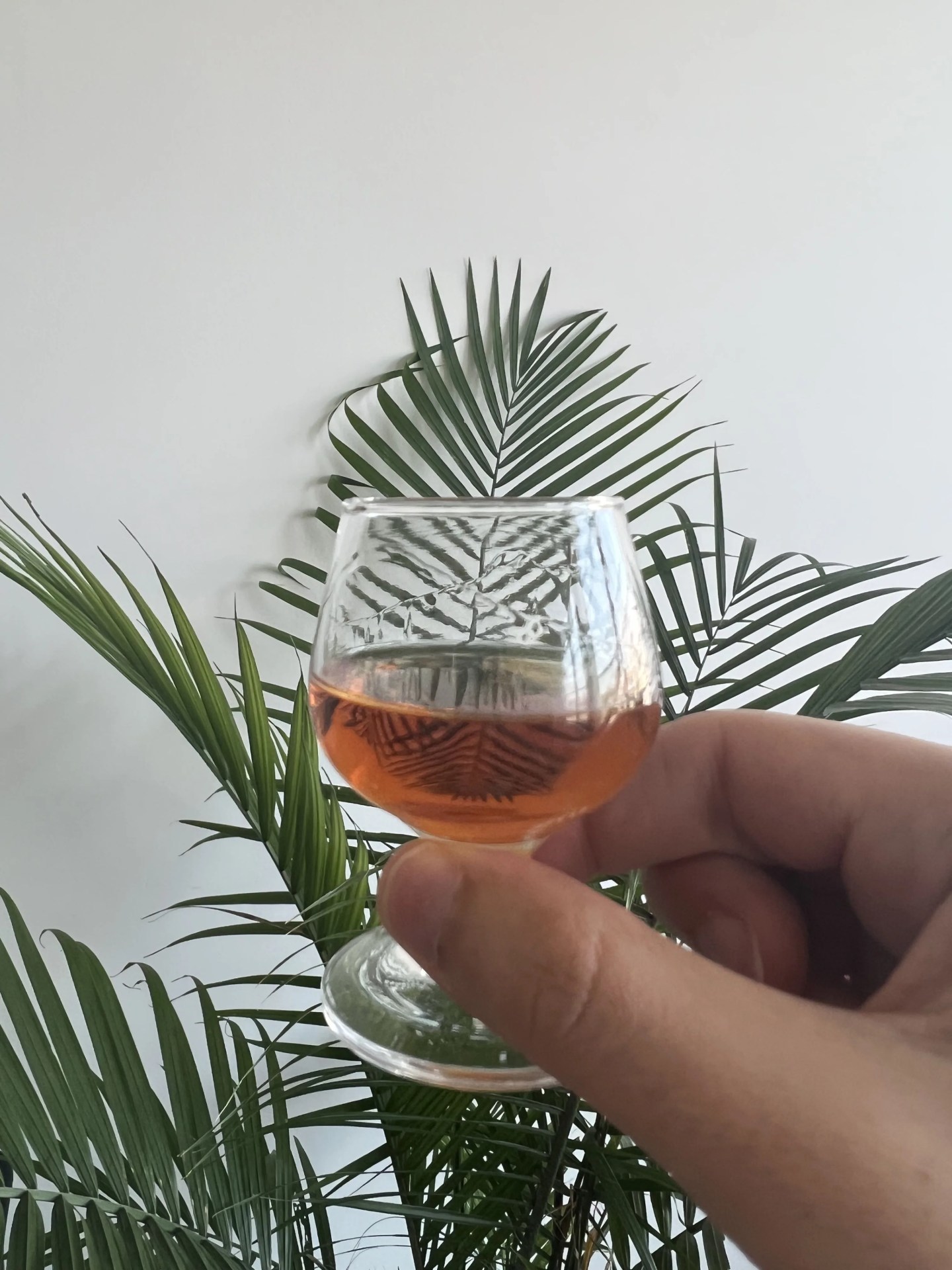 a glass of jamaican rum