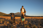 ruffwear front range dog harness