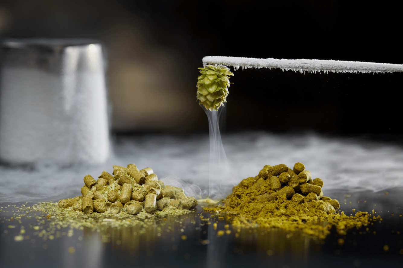 hops on a table