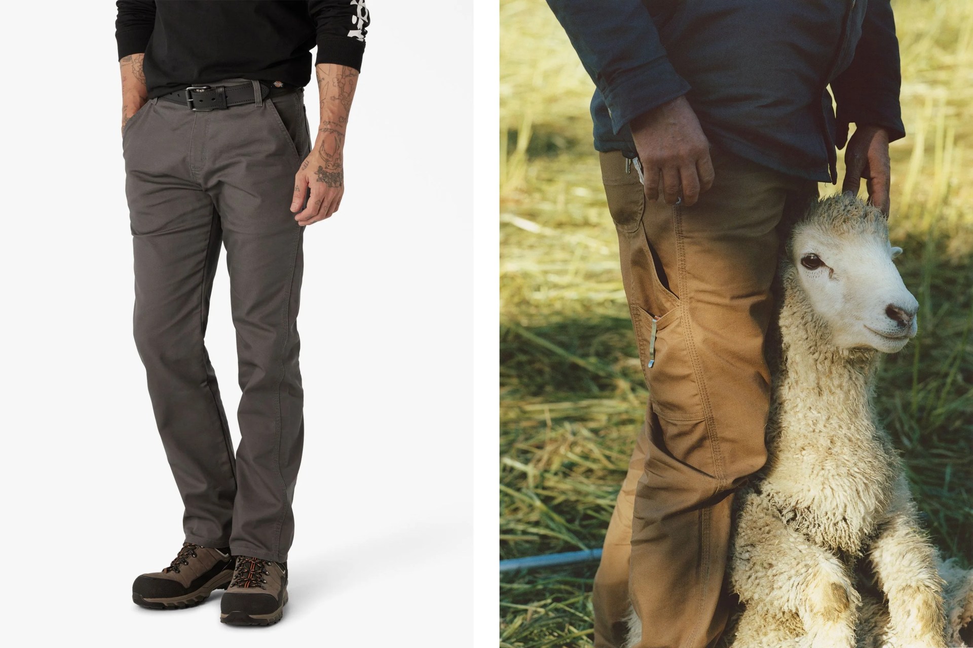 dickies pants