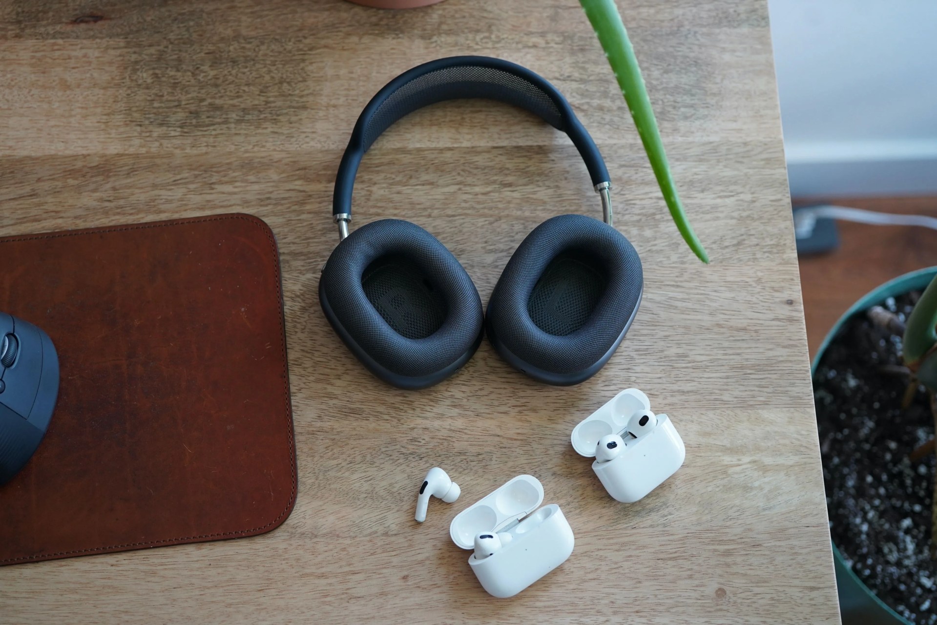 apple music refresh