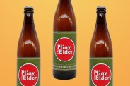 pliny the elder beer