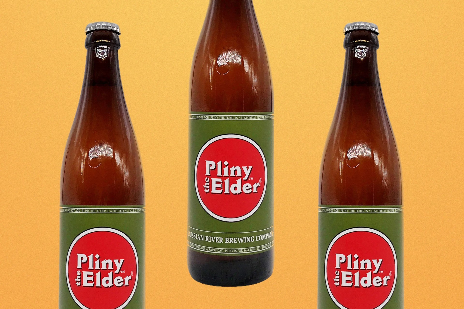 pliny the elder beer