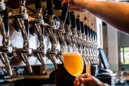 a person pouring an ipa beer into a glass from a tap