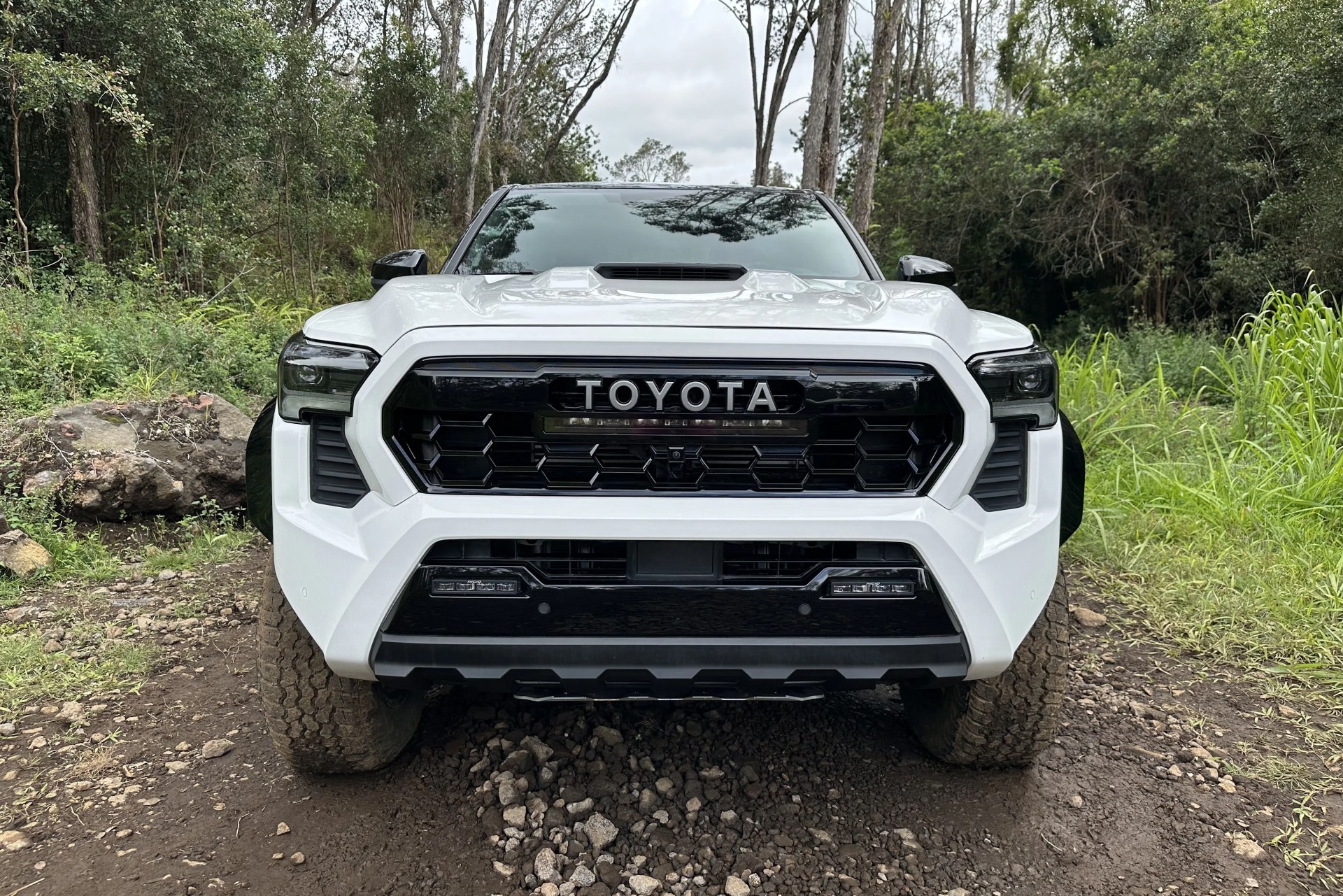 toyota tacoma trd pro grille
