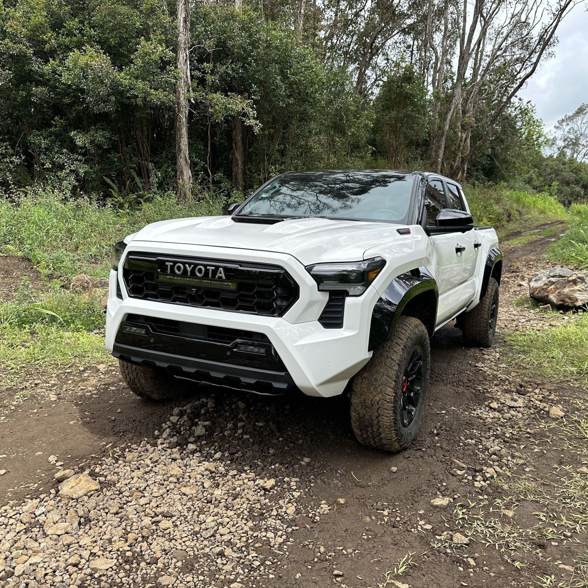 toyota tacoma