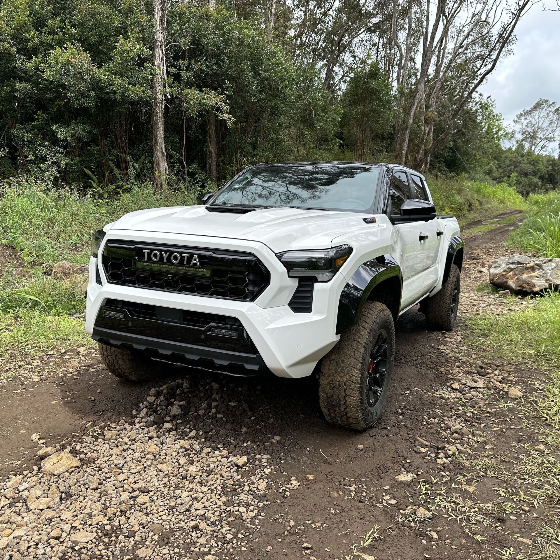 toyota tacoma