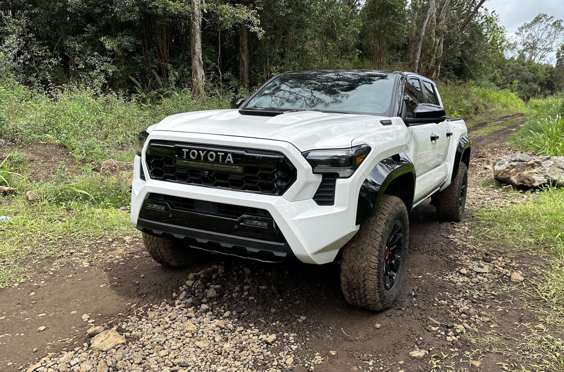 toyota tacoma