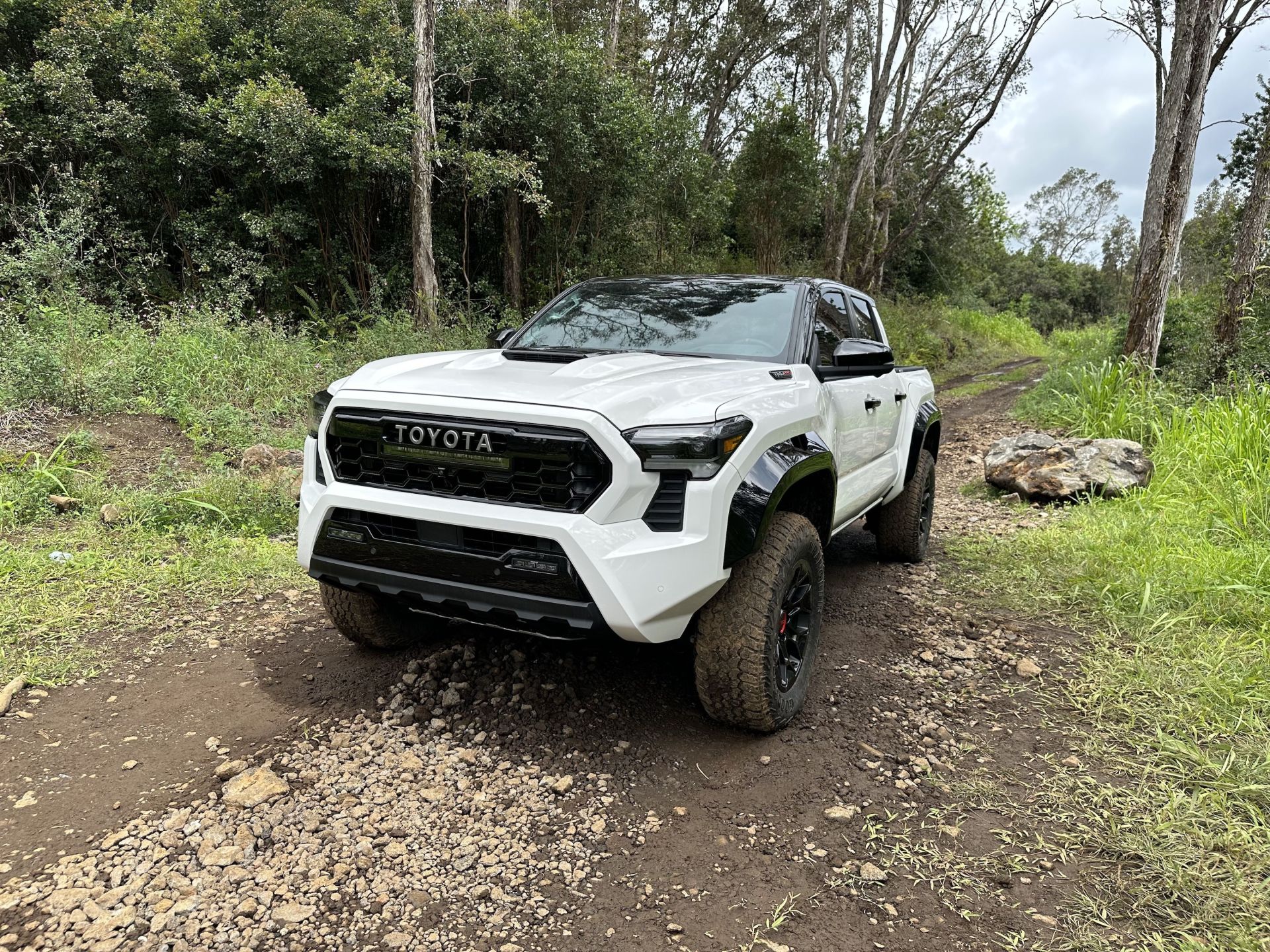 toyota tacoma