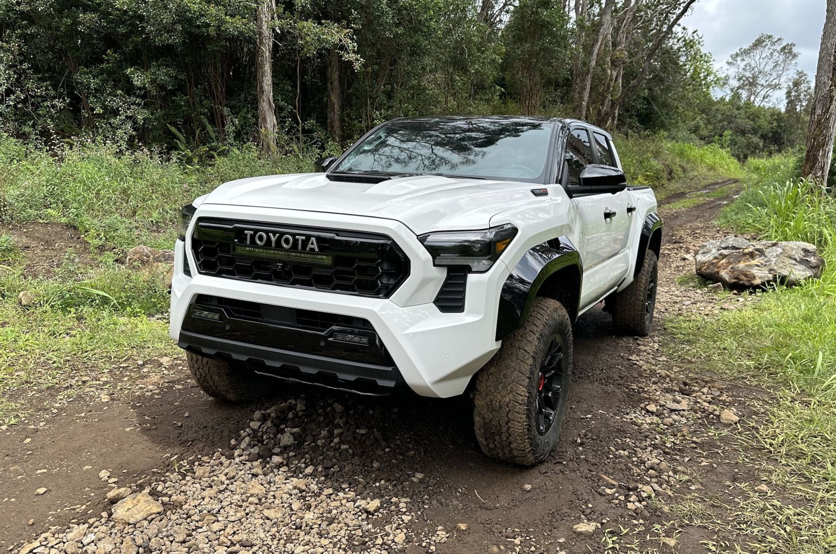 toyota tacoma