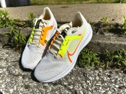 nike pegasus 40