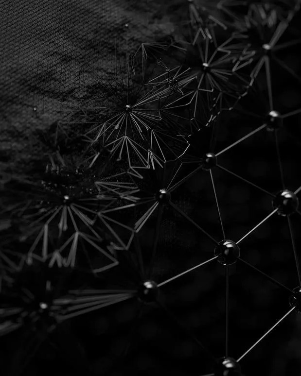 pangaia lab the infinite tee material