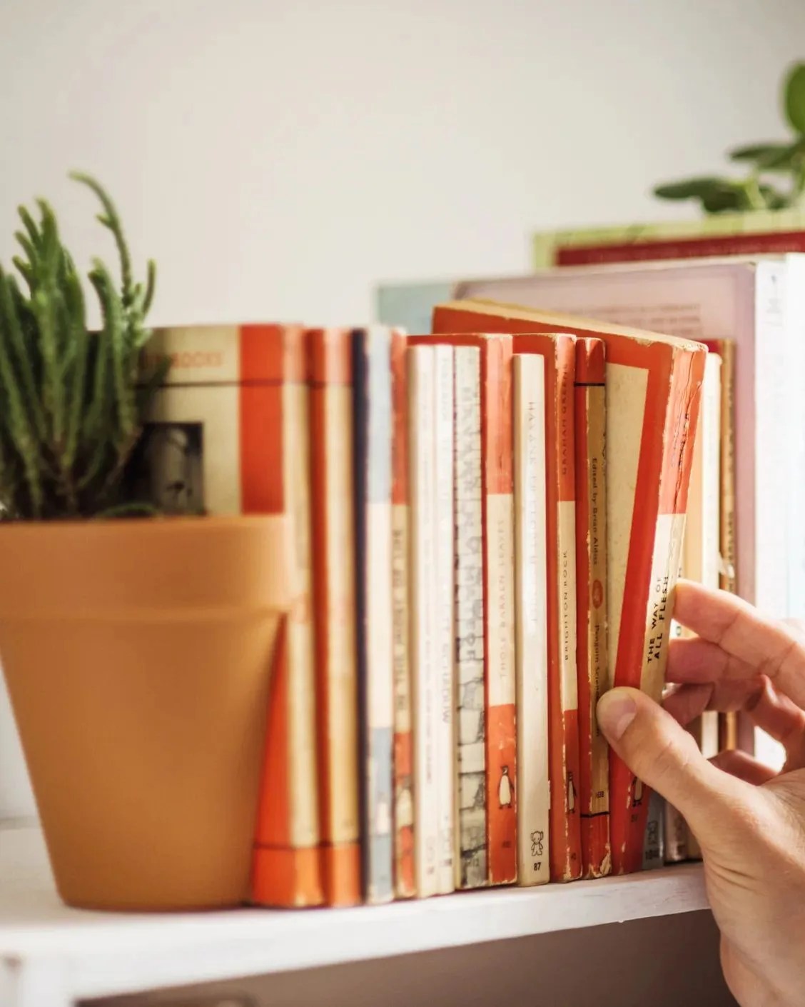 plant pot bookends