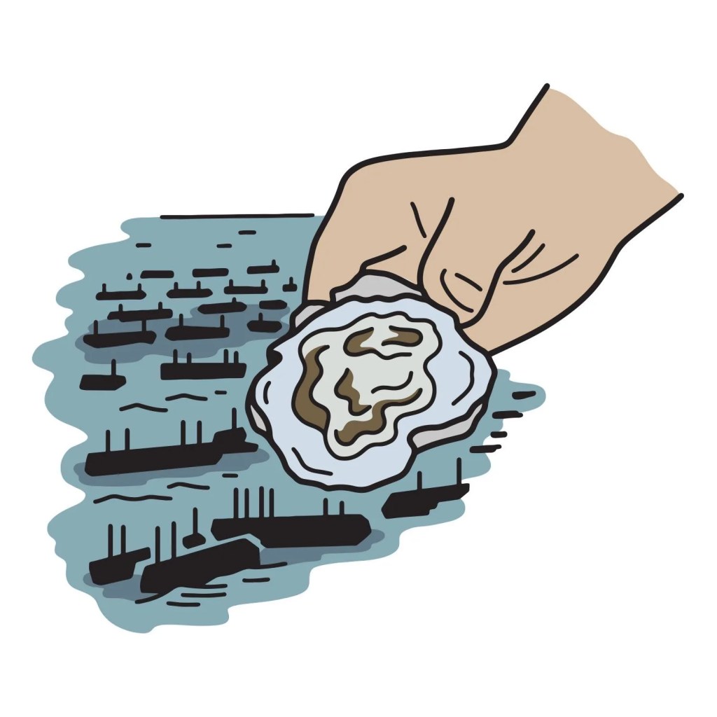hand holding oyster