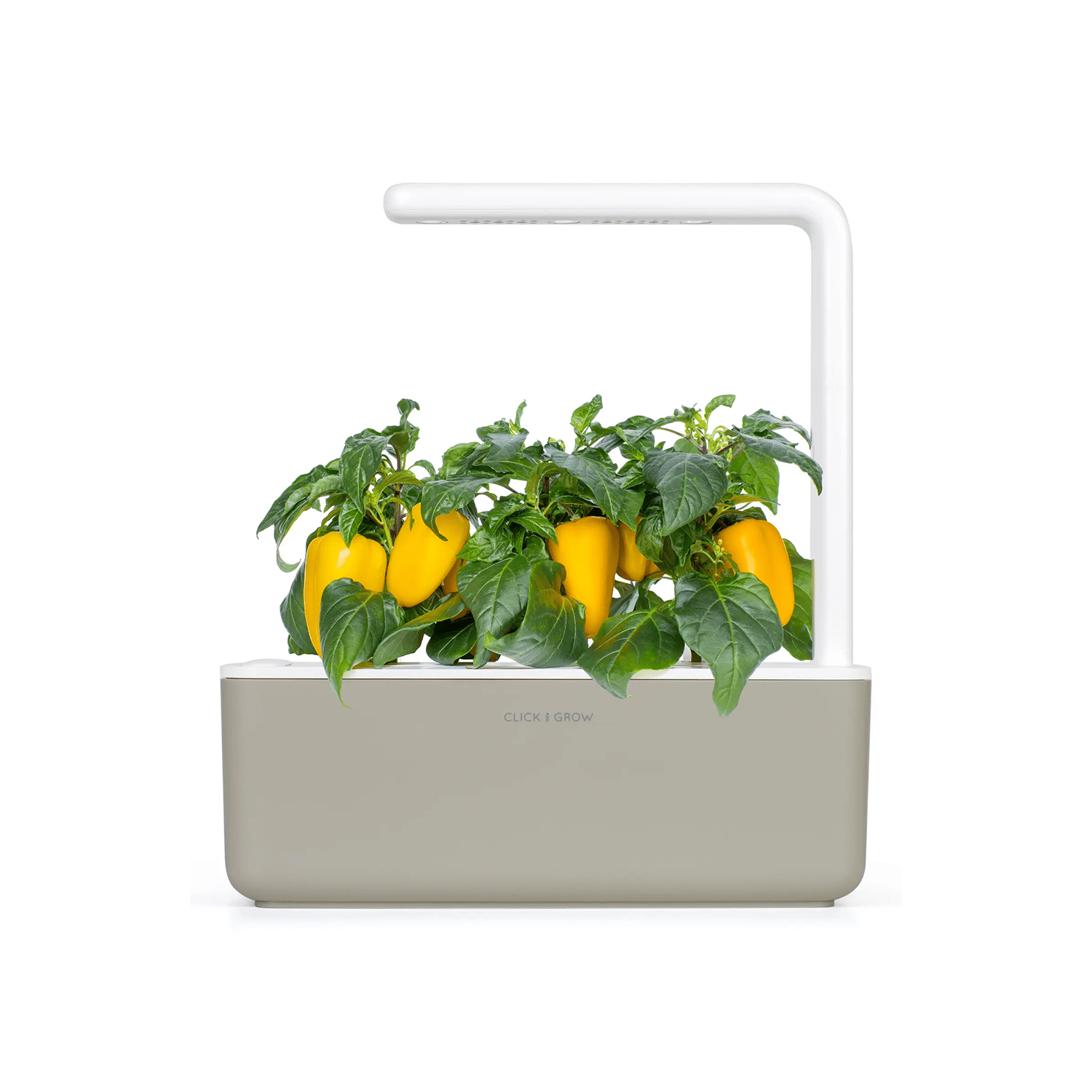 Click & Grow Smart Garden 3 Self Watering Indoor Garden in White at Nordstrom
