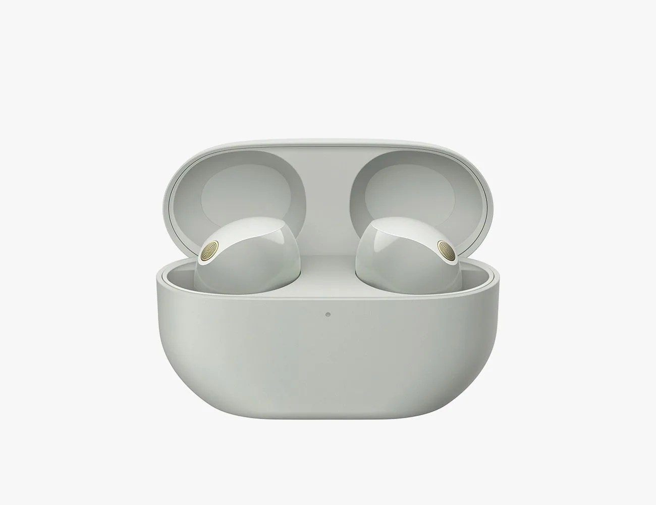sony true wireless earbuds and case