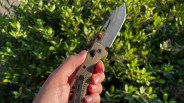 hand holding a gerber knife in front of a bush