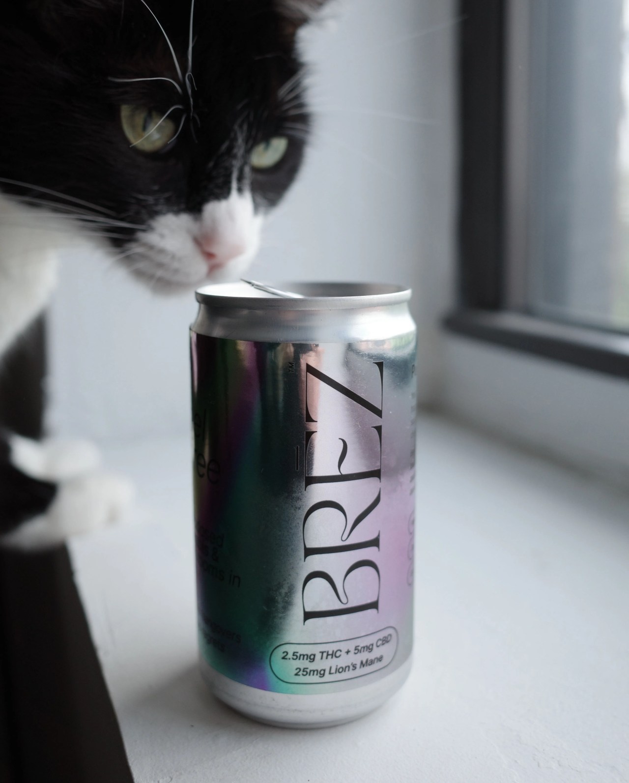 cat next to can of brez thc beverage