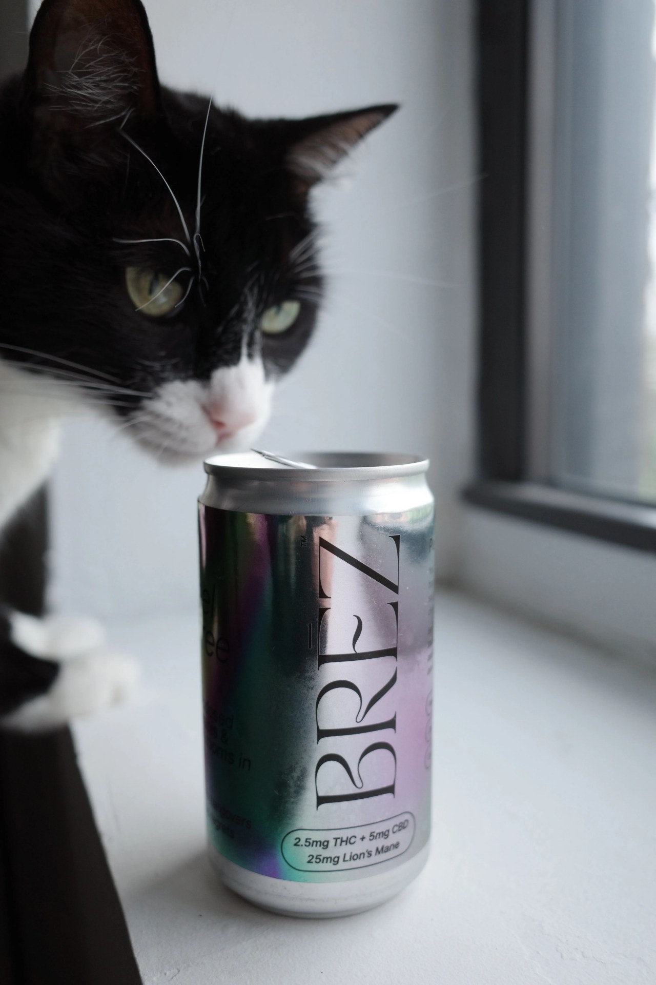 cat next to can of brez thc beverage