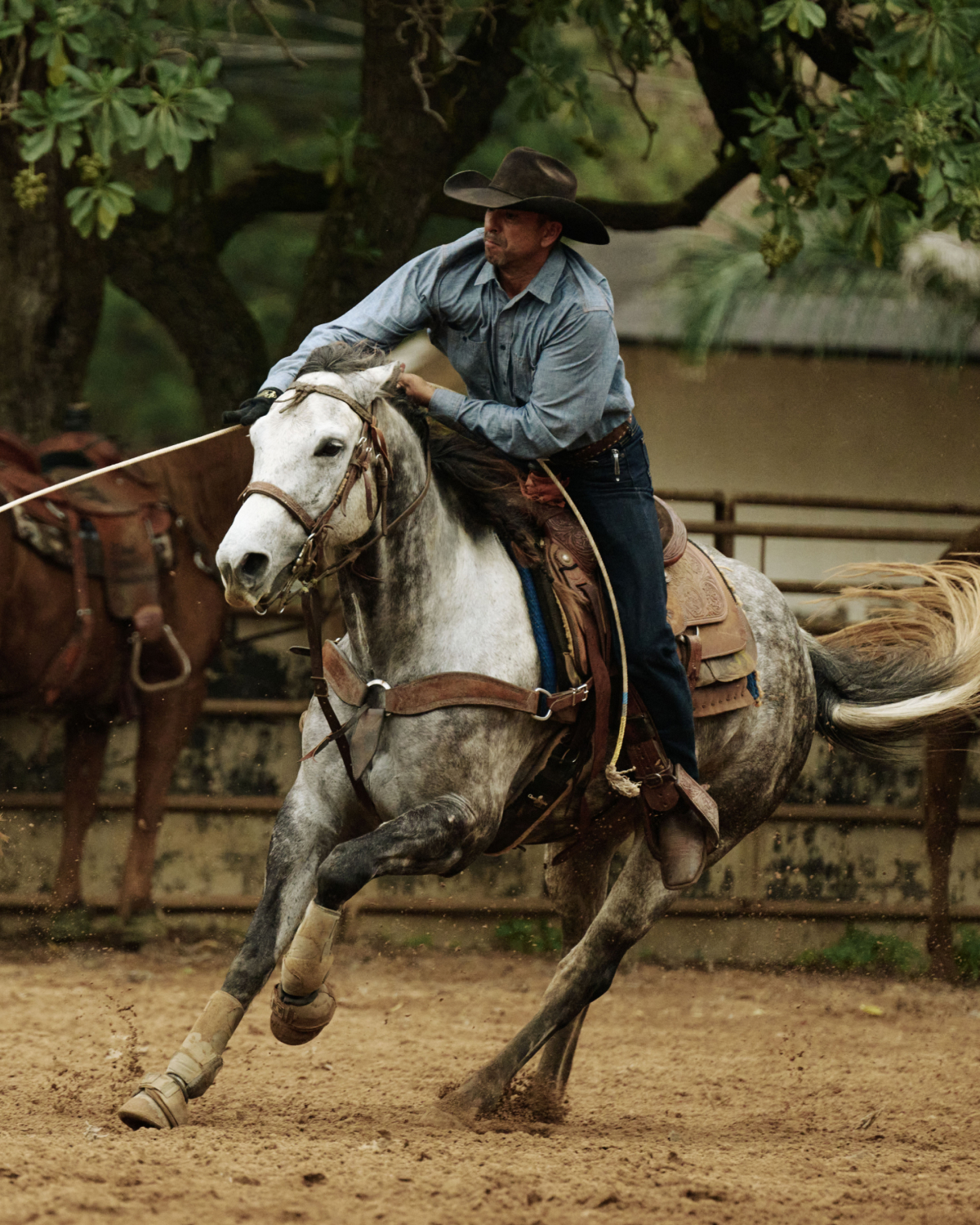 guy on horse roping