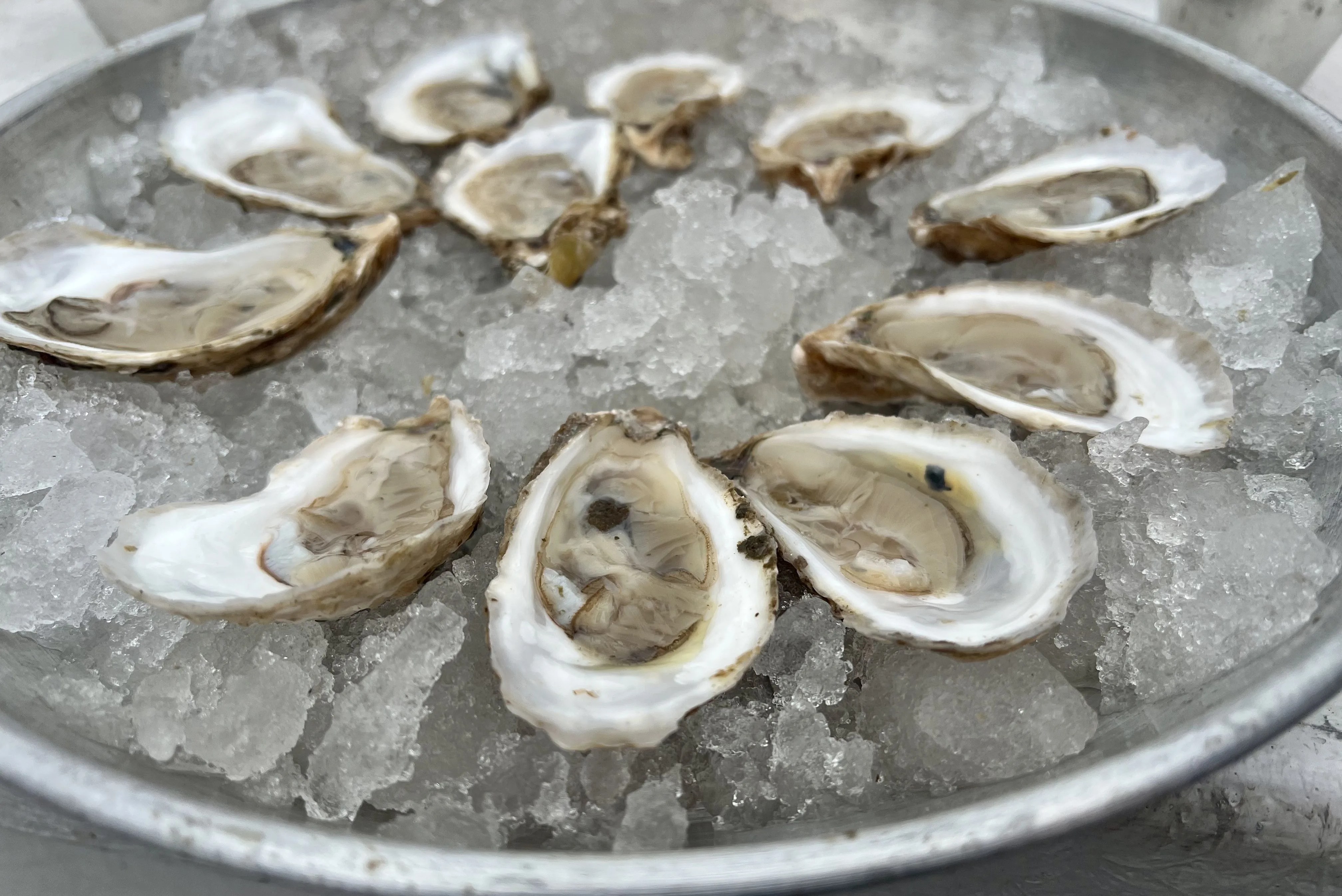 a tray of oysters on ice