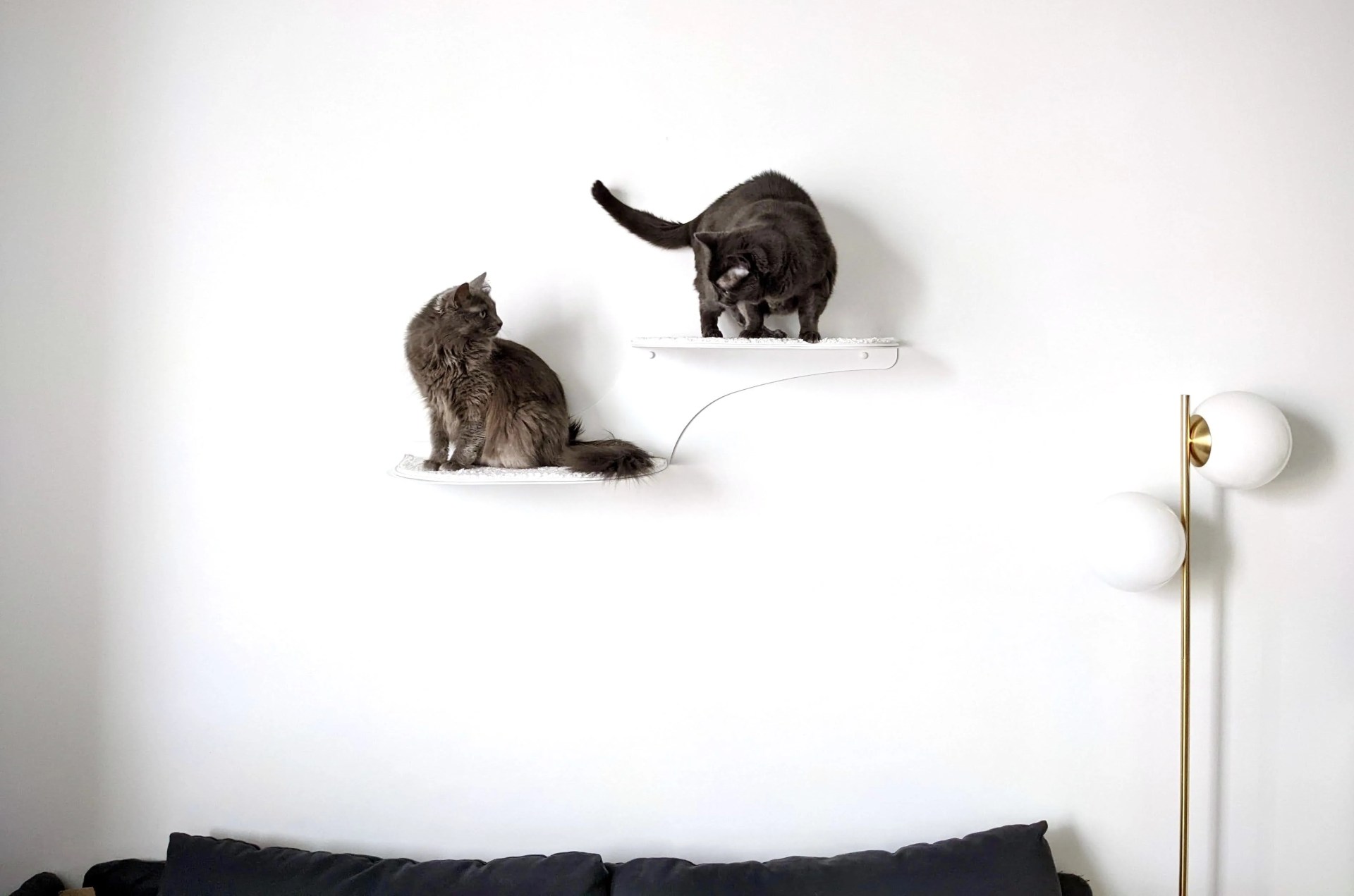 two cats on a cat shelf over a bed