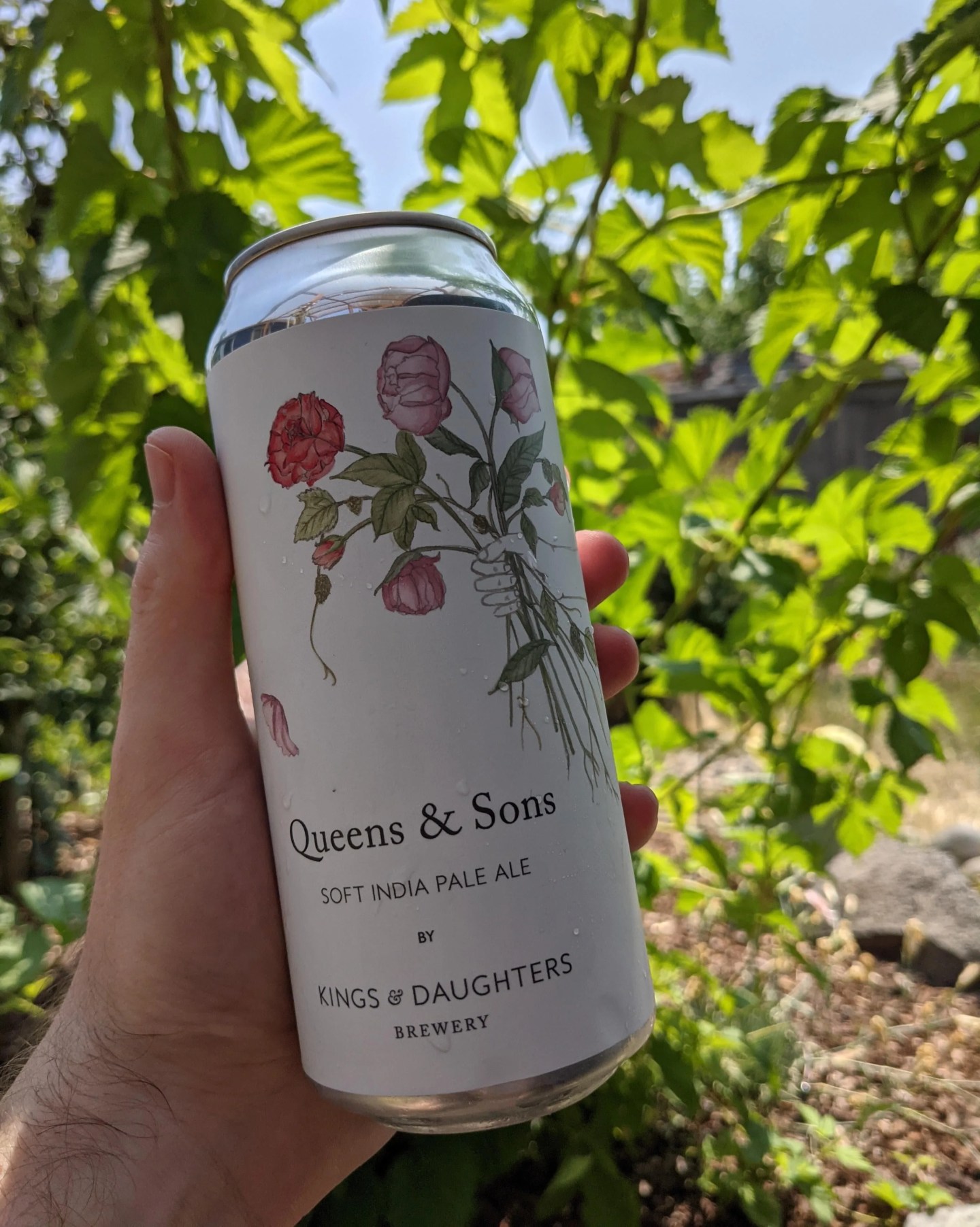 a hand holds a can of queens and sons ipa beer