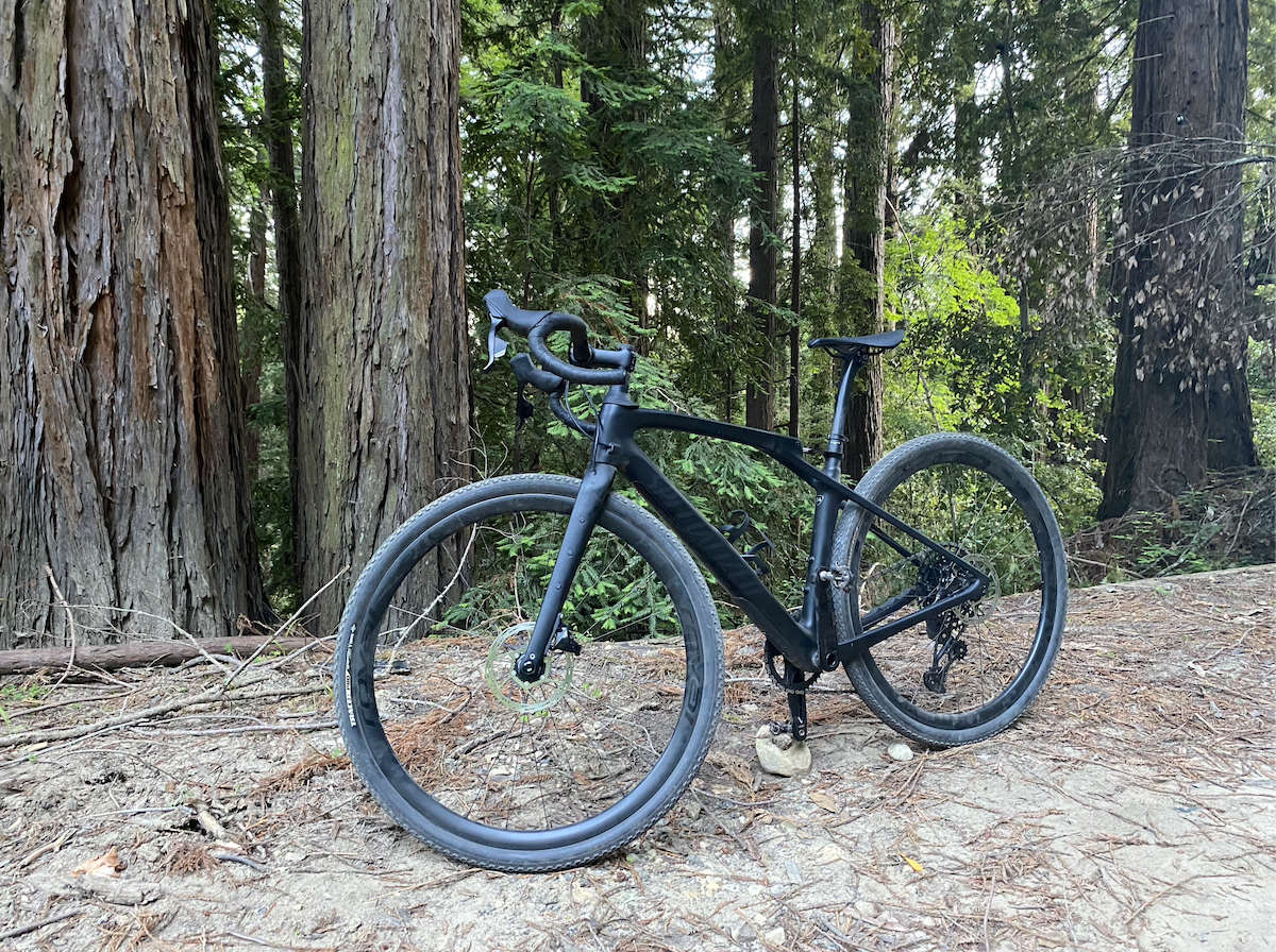 specialize gravel bike in front of redwoods