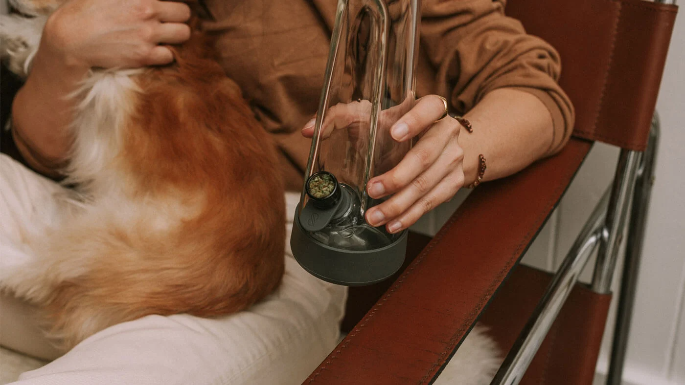 session goods bong