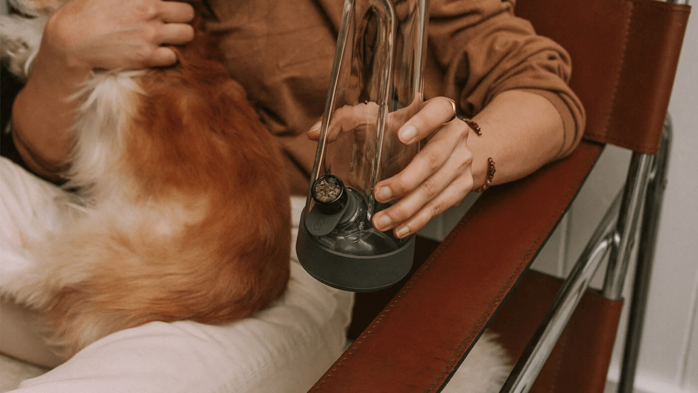 session goods bong
