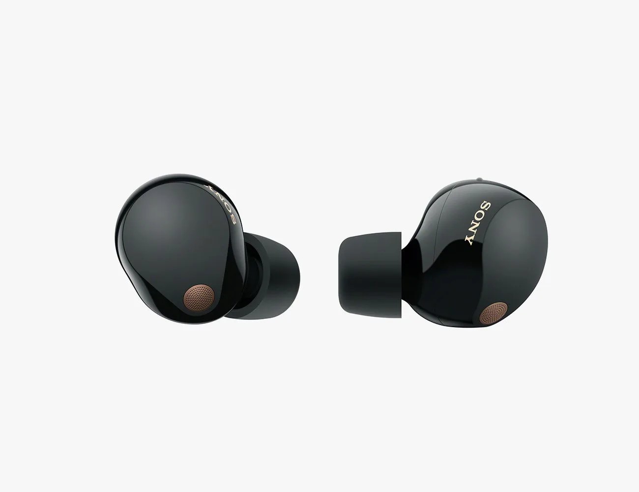 sony true wireless earbuds and case