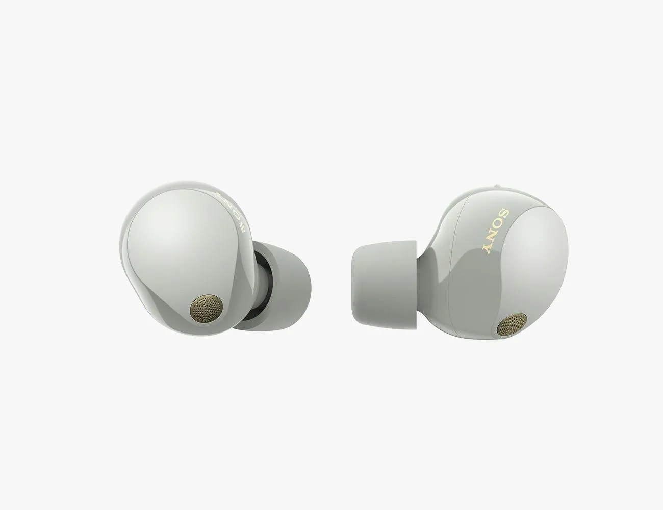 sony true wireless earbuds and case
