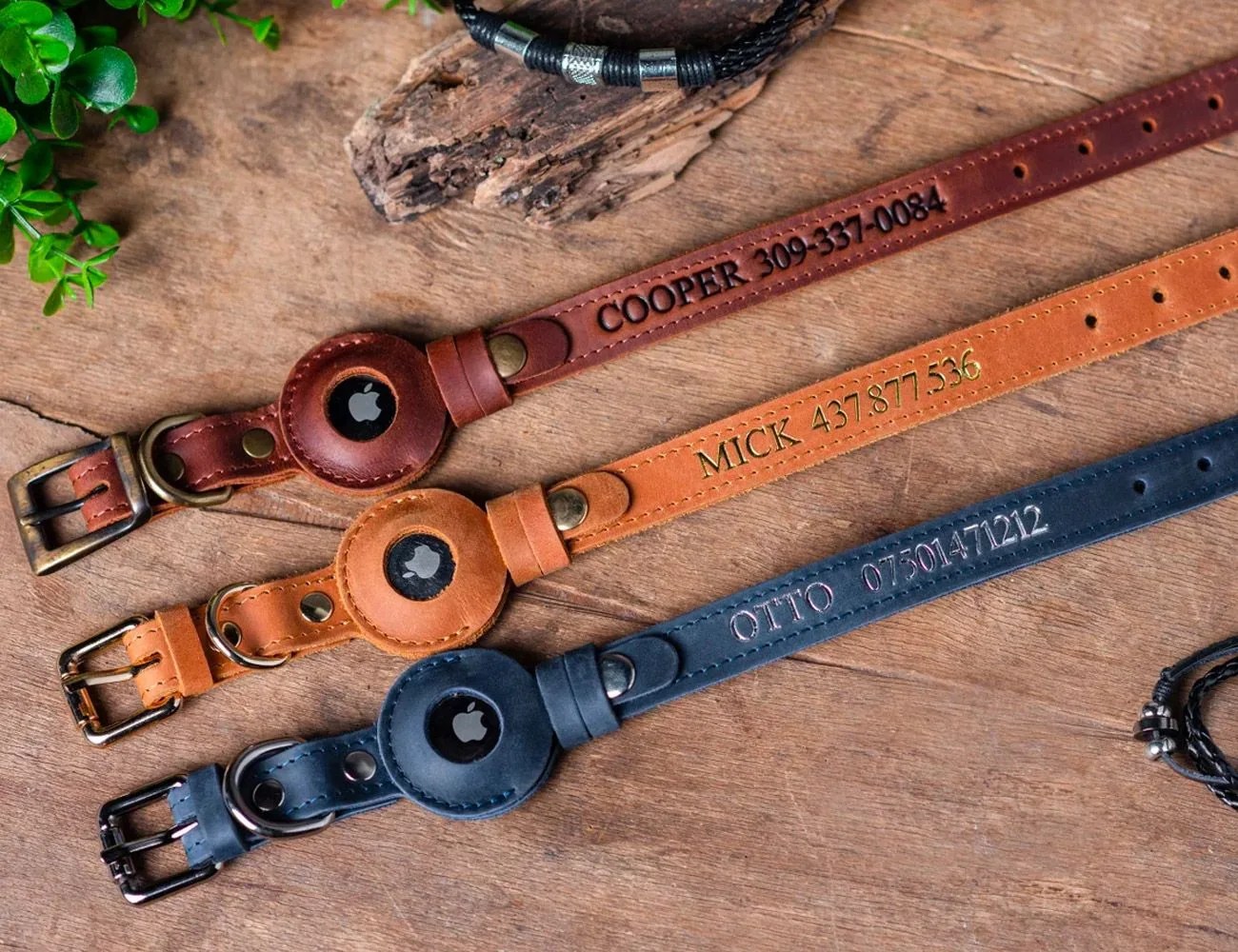 personalized leather dog collar