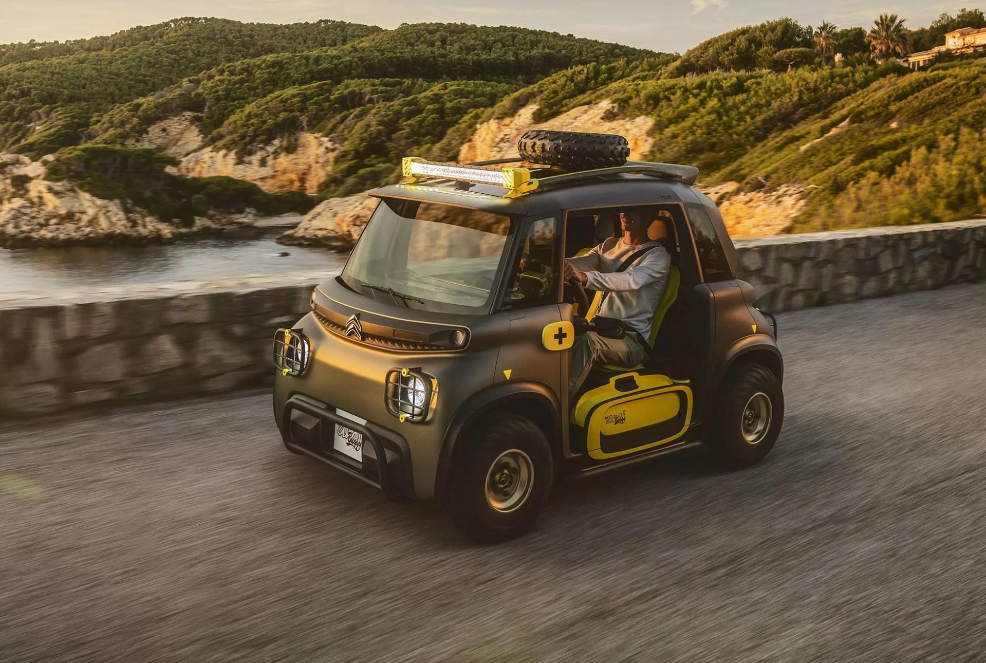 citroen ami buggy