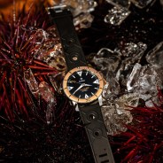 dive watch next to sea urchins