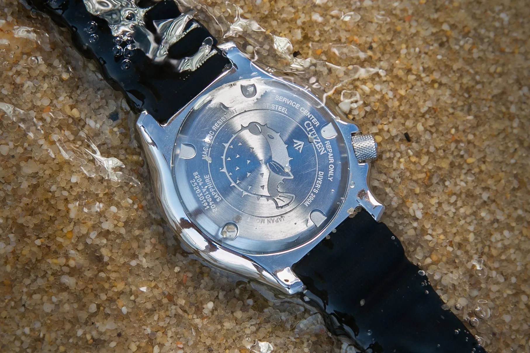 a dive watch's caseback in the sand with a puffer fish design