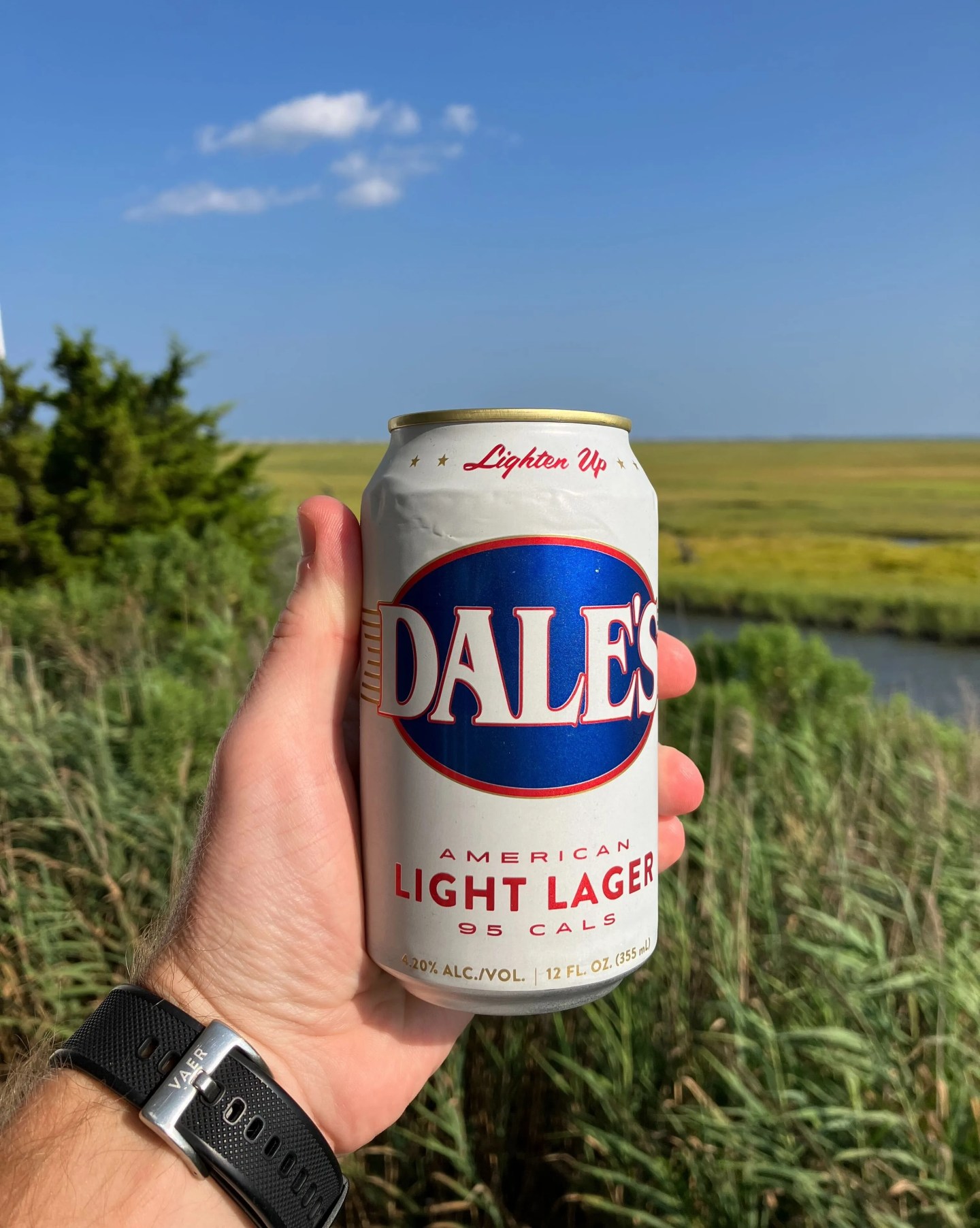 can of dales light lager beer
