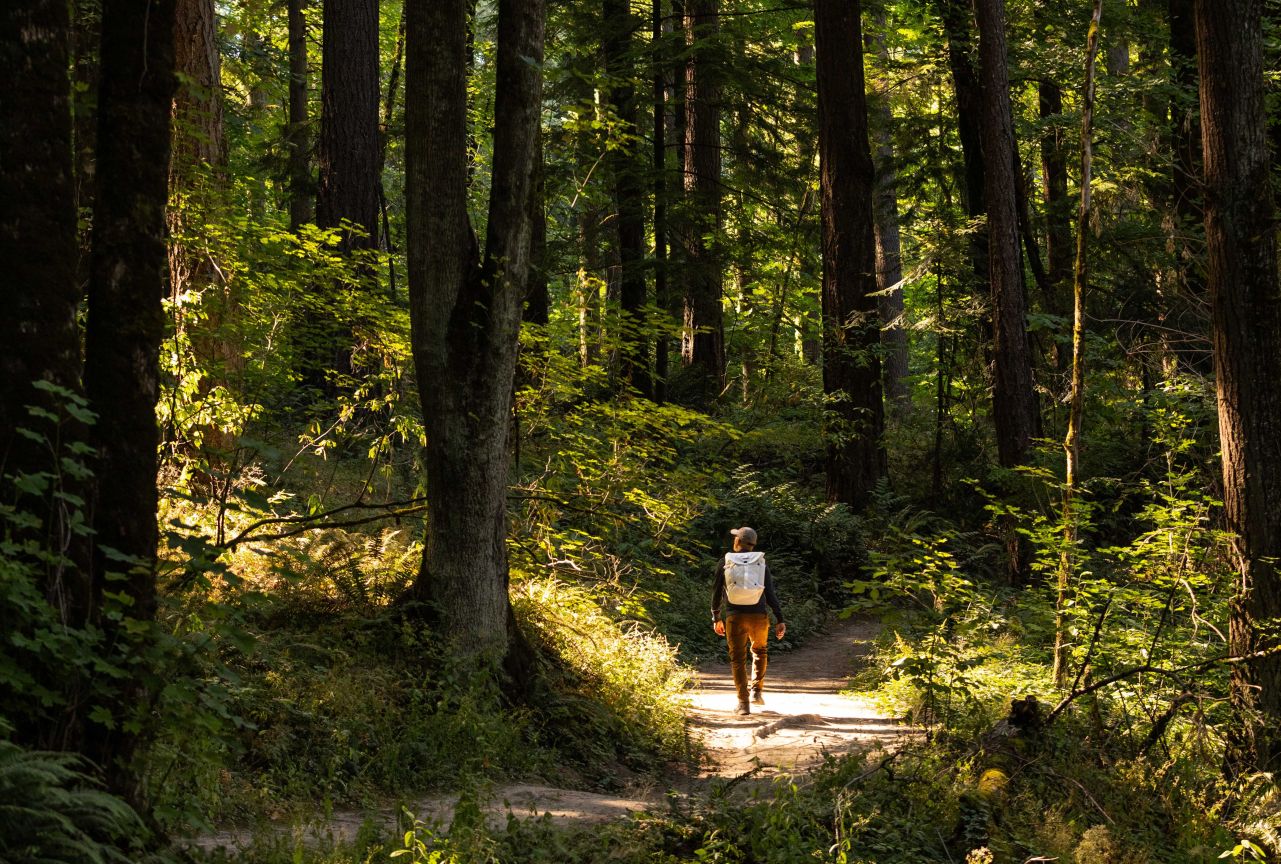 man walking in forest wearing camelbak backpack